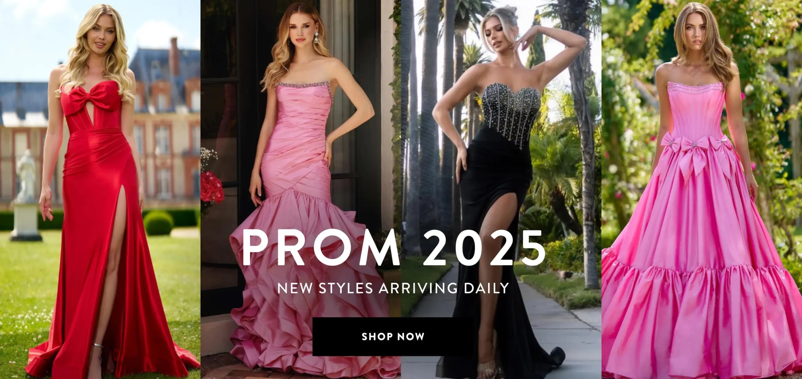 Prom 2025 Banner for Desktop